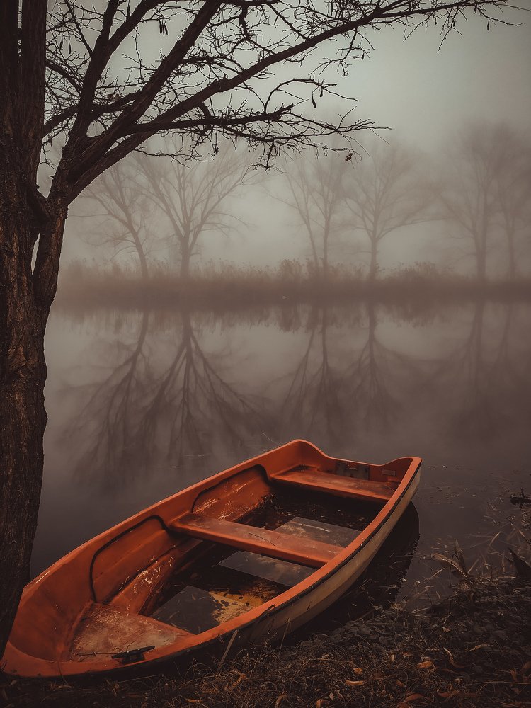 Photograph by Vladislav Tot