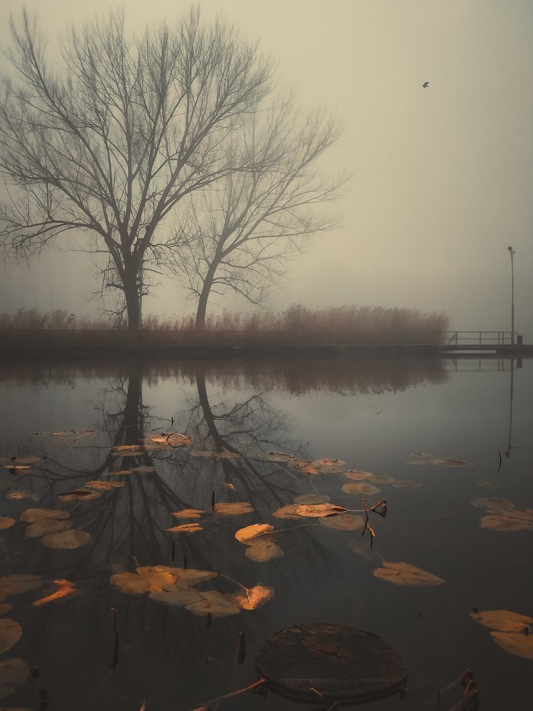 Photograph by Vladislav Tot