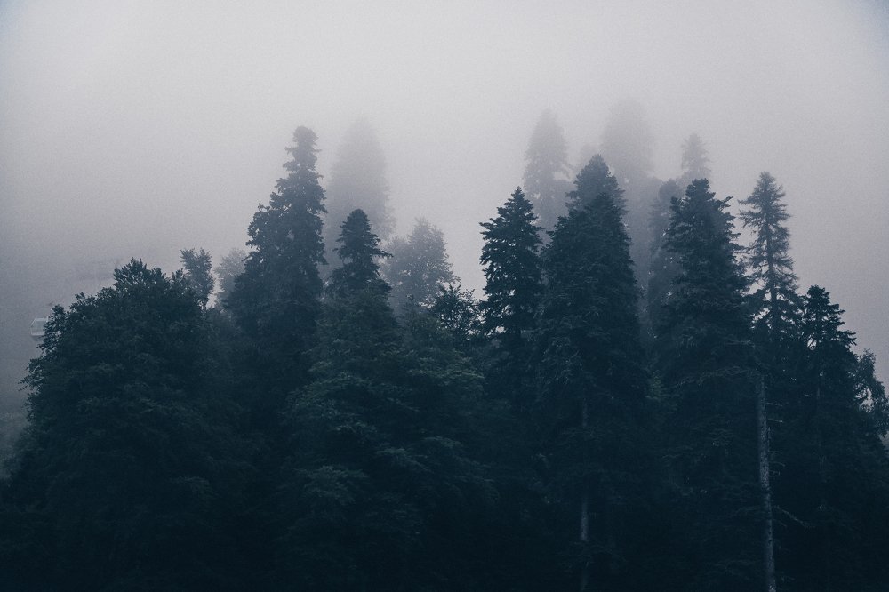 Photograph by Андрей Пахомов