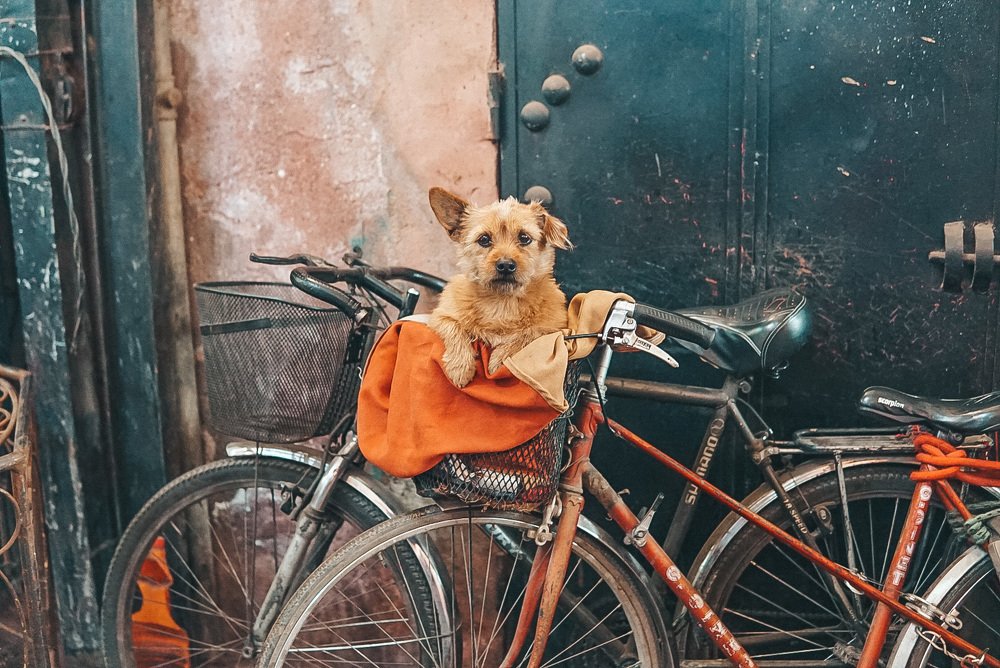 Photograph by Olga Kuzmenko