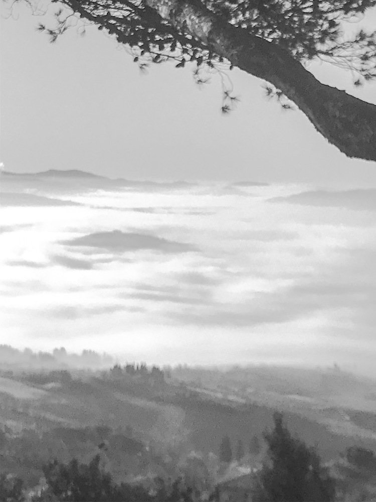Photograph by Francesca Trafeli