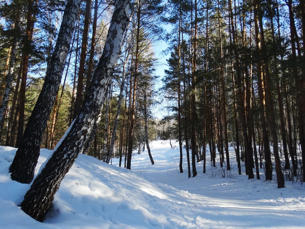 Photograph by Александр Подгорный