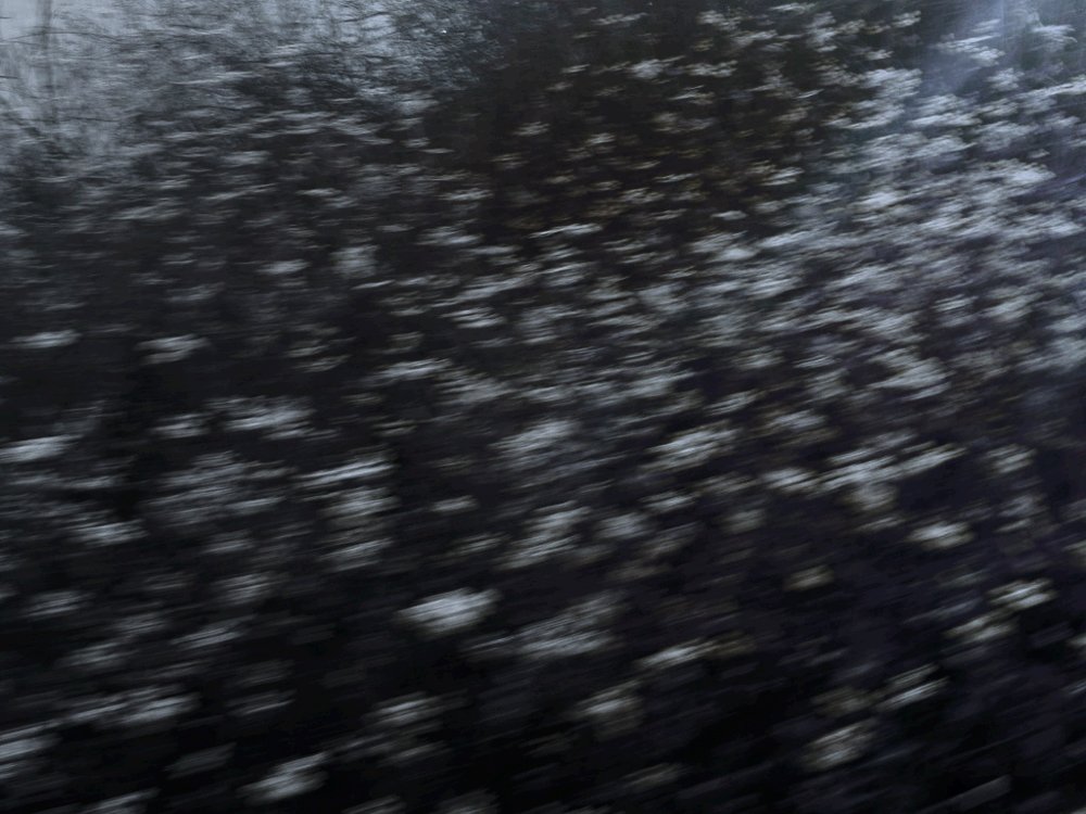 Photograph by Esteban Díaz Azúa