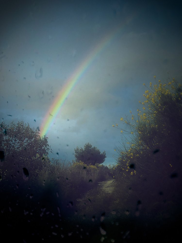 Photograph by Esteban Díaz Azúa