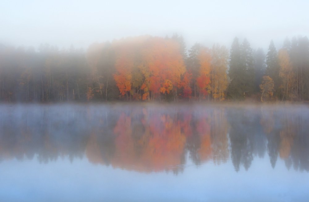 Photograph by Elena Noeva