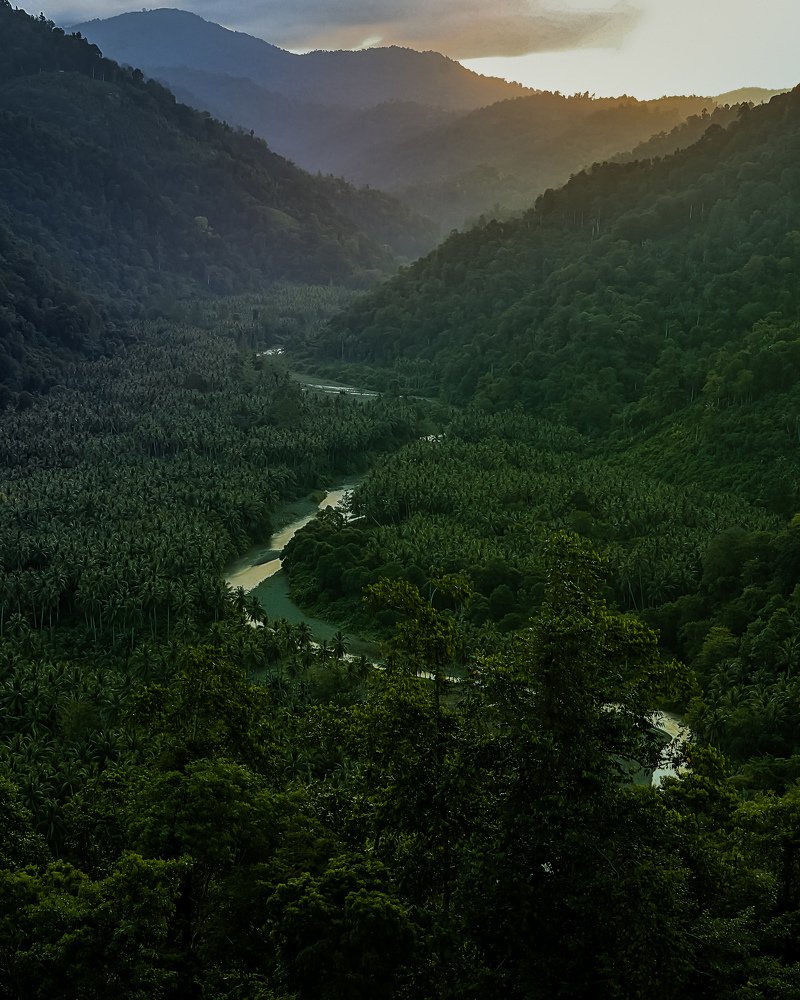 Photograph by LanDy Bentor