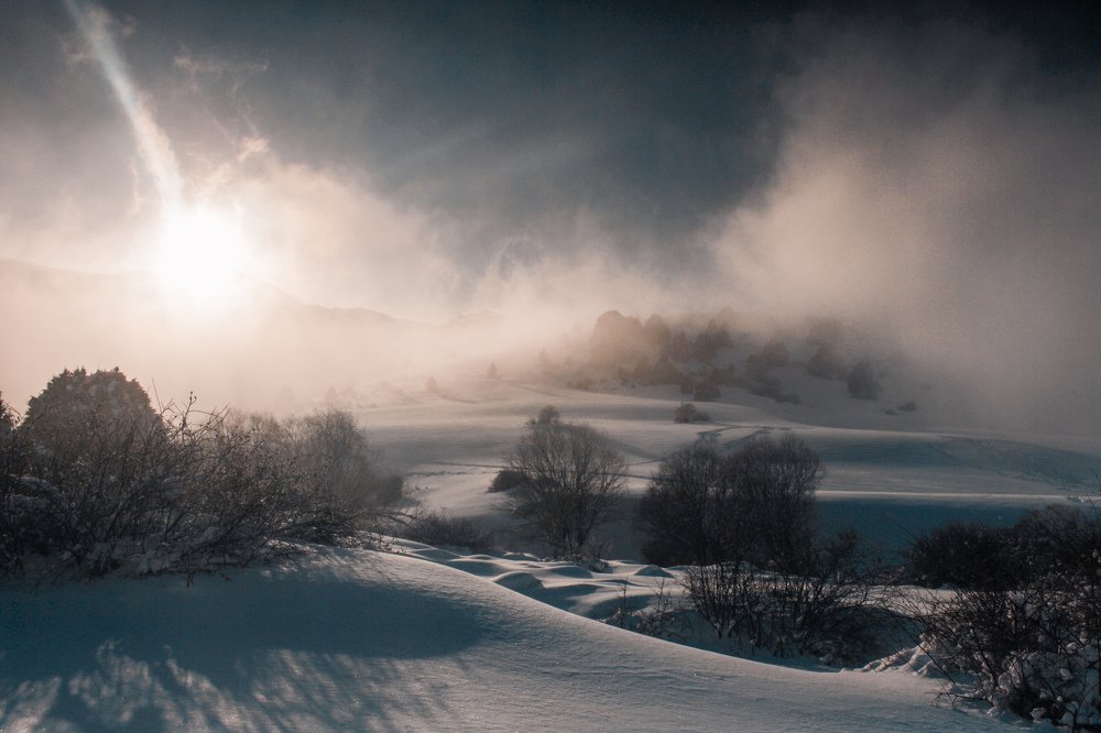 Photograph by Дмитрий Клунный