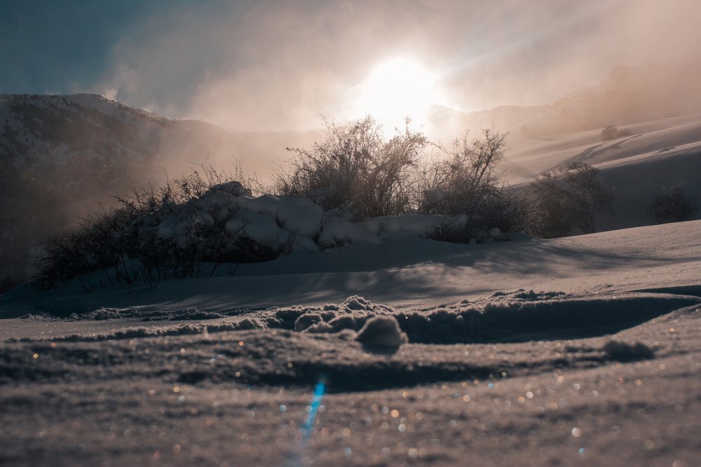 Photograph by Дмитрий Клунный