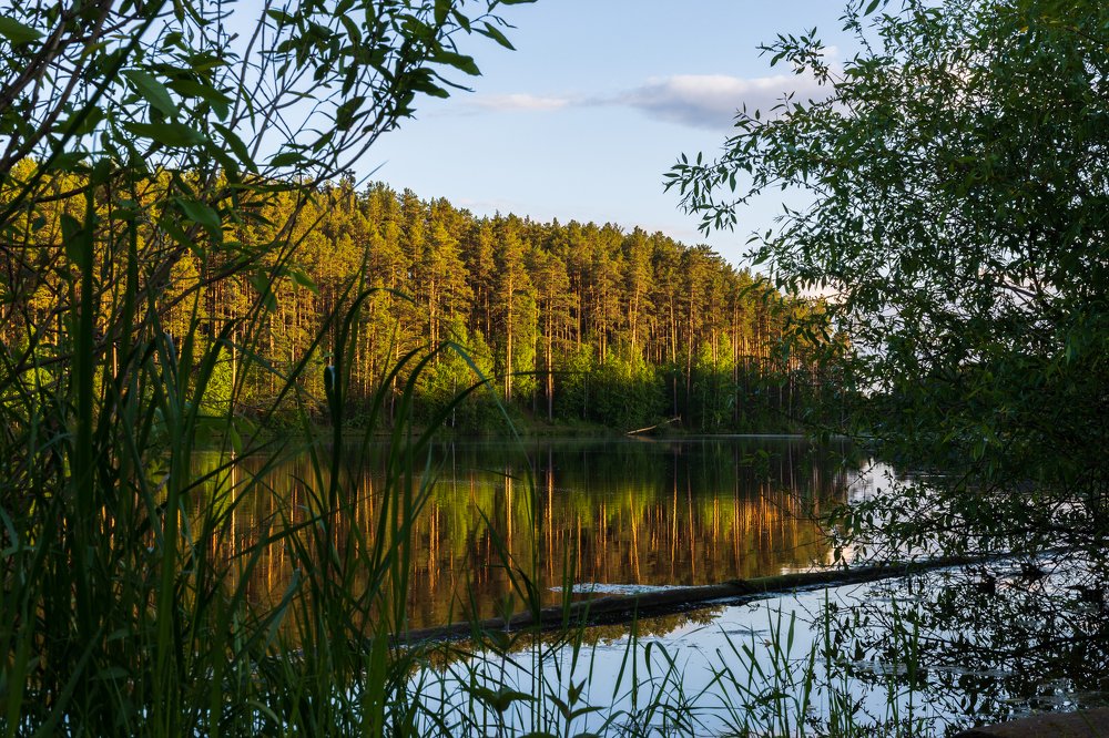 Photograph by Юрий