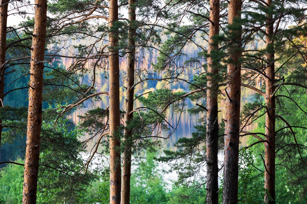 Photograph by Юрий