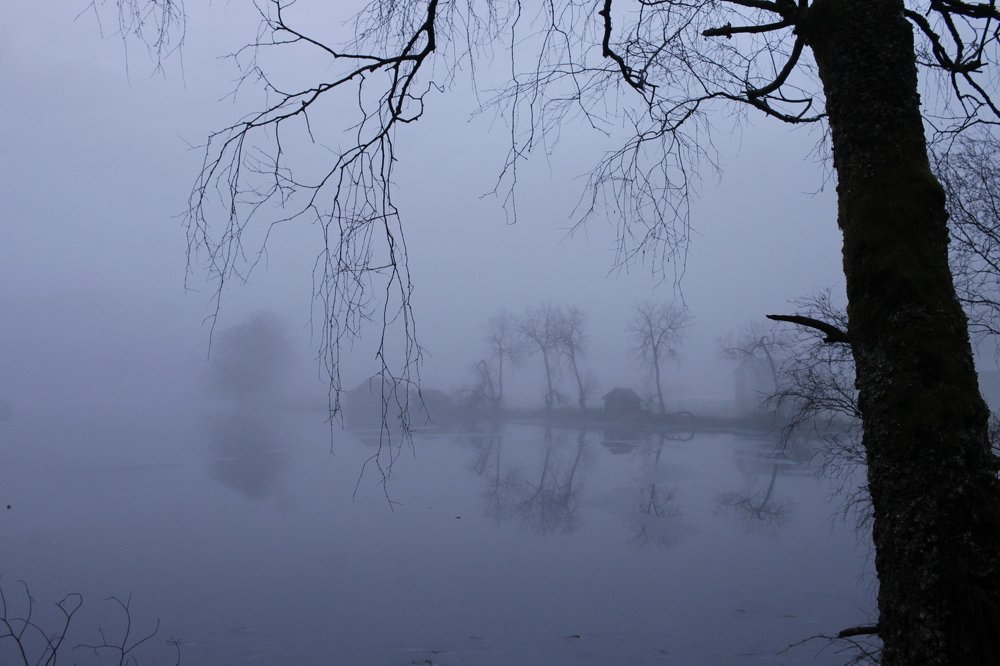 Photograph by Inese Firsova