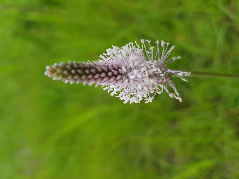 Photograph by Александра Пухкалова