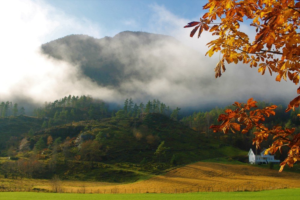 Photograph by Inese Firsova