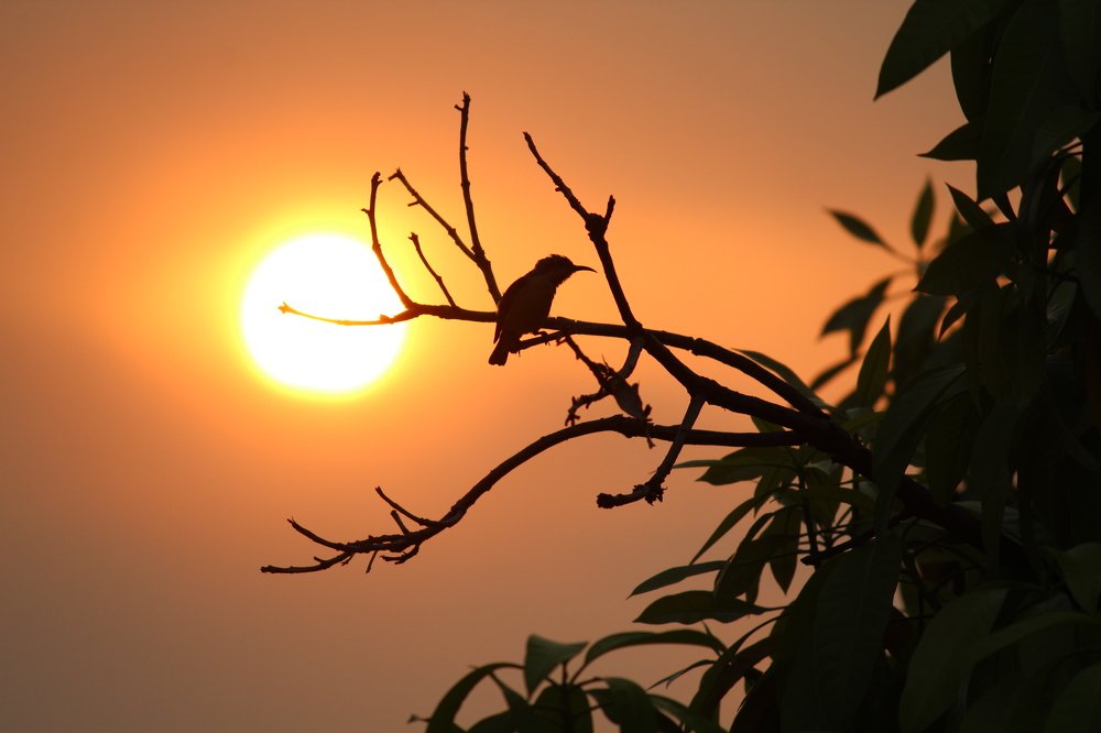 Photograph by Shaharukh Sheikh