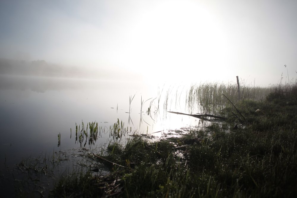Рассвет в тумане