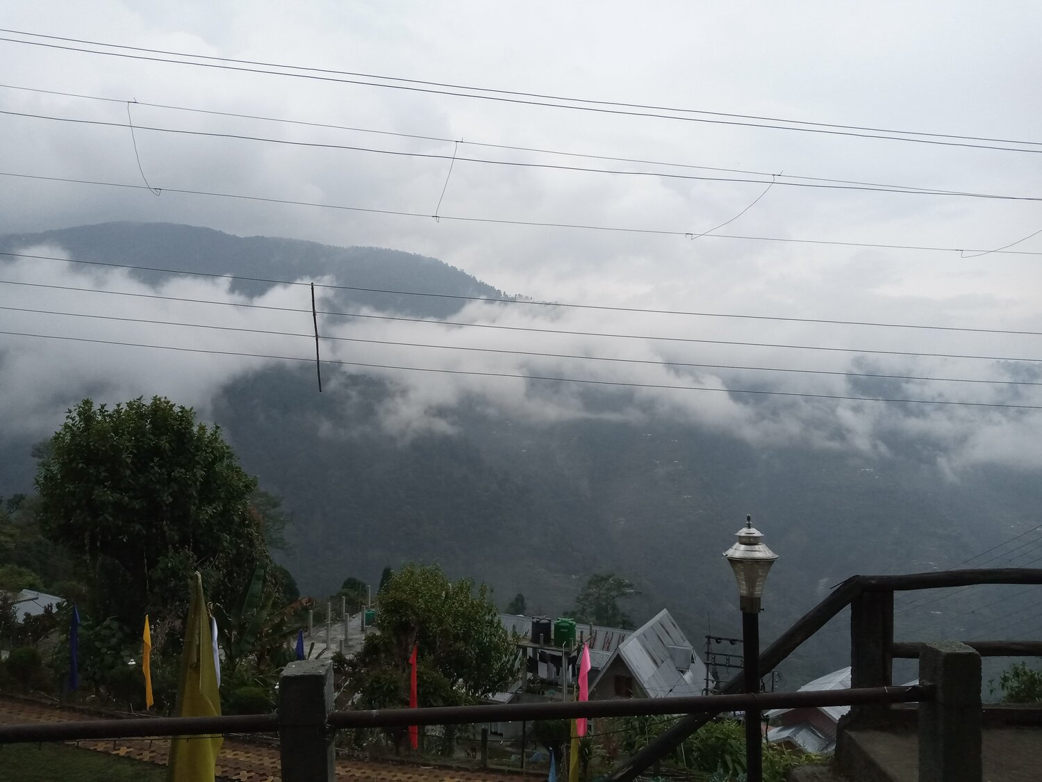 Photo #4643165