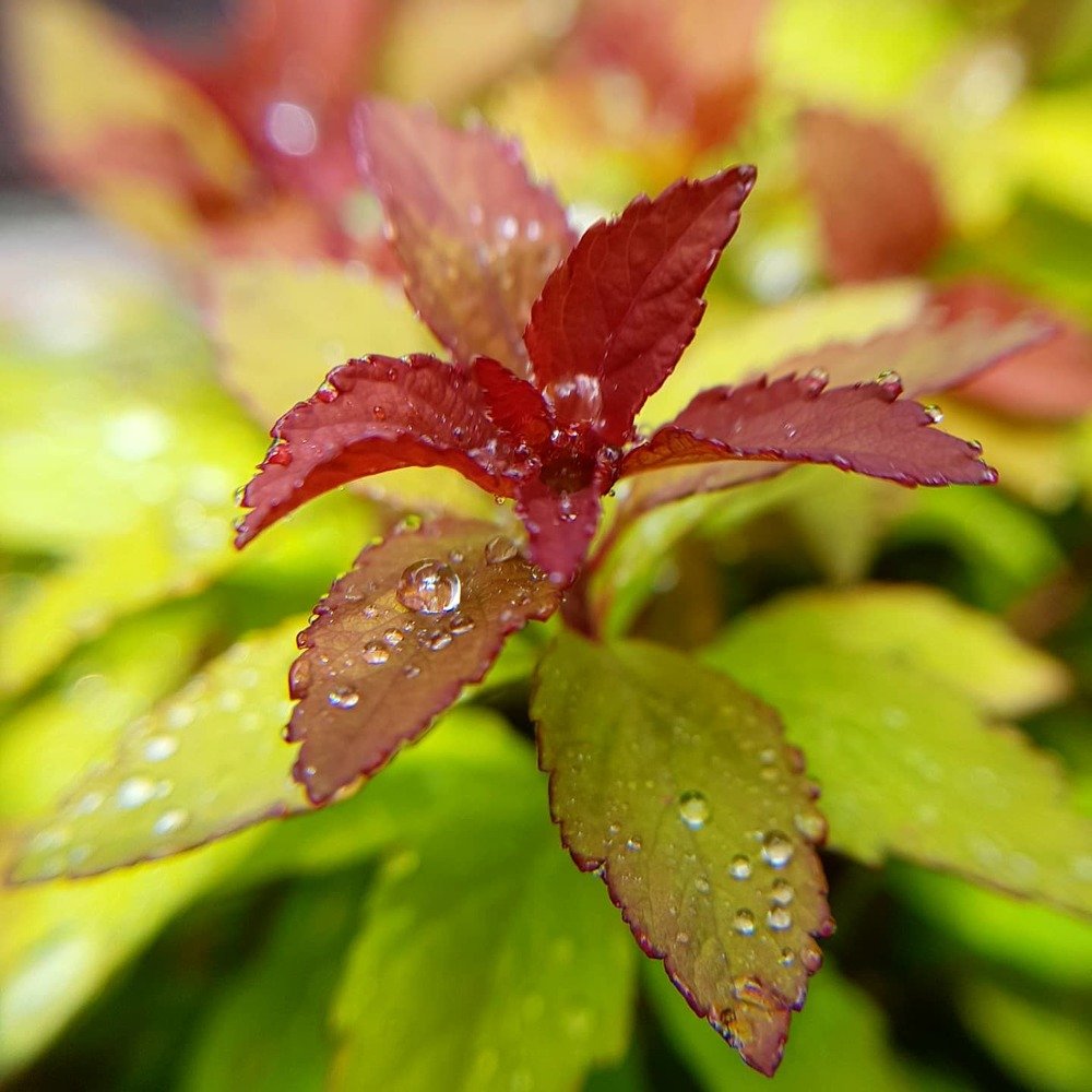 Photograph by Екатерина Вивюрская