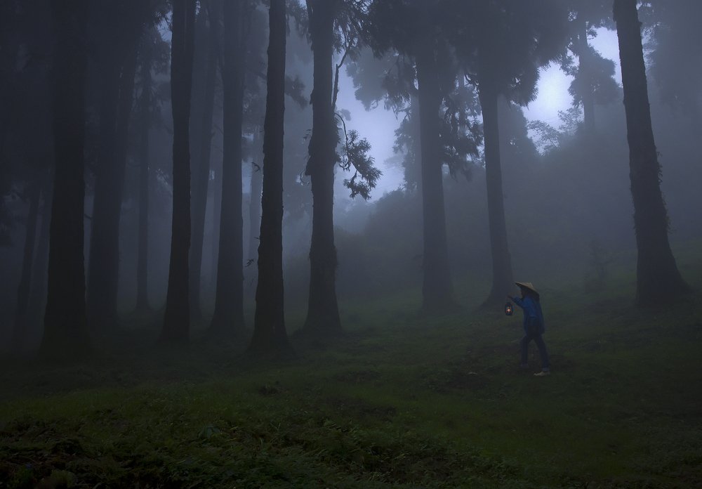 Photograph by Shibram Nag