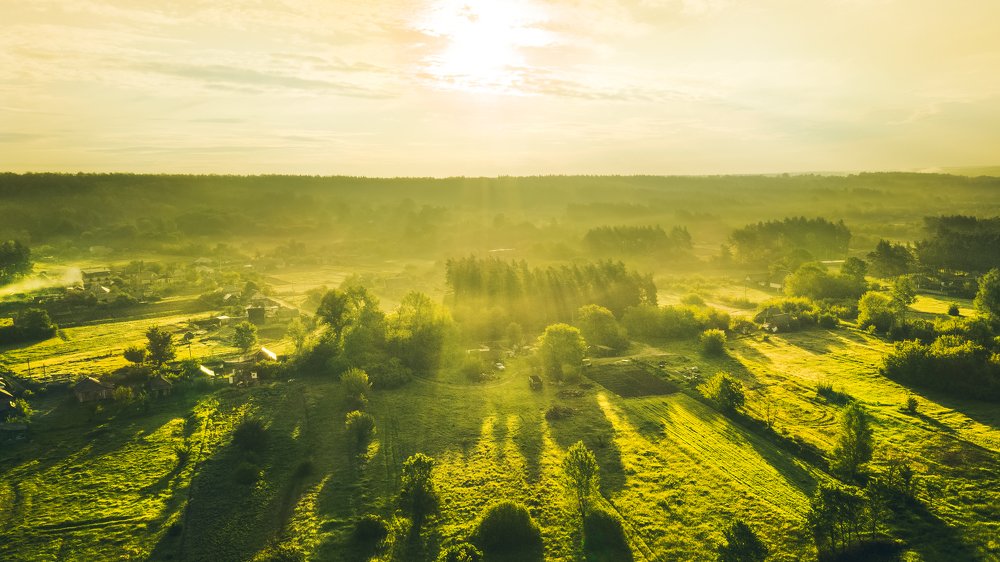 Photograph by Andrii Chagovets