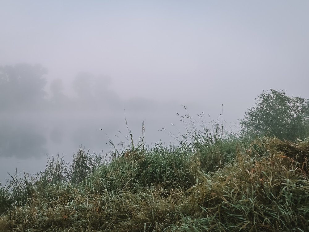 Photograph by Камила Гюндогар