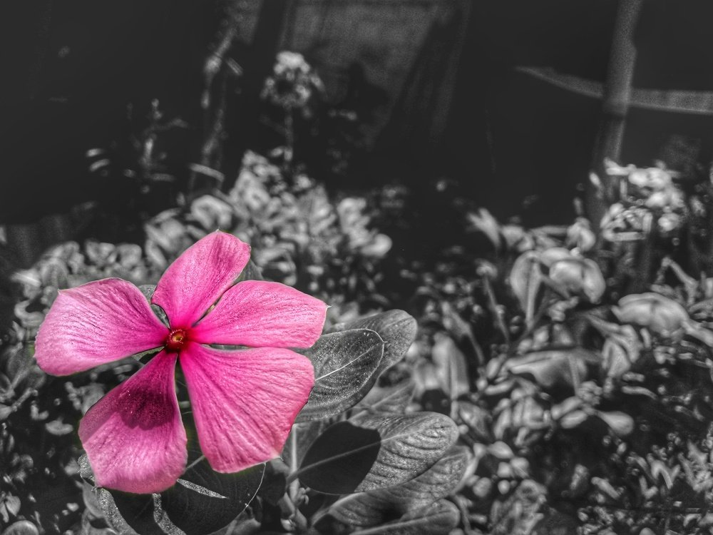 Photograph by Edrian Cabarles