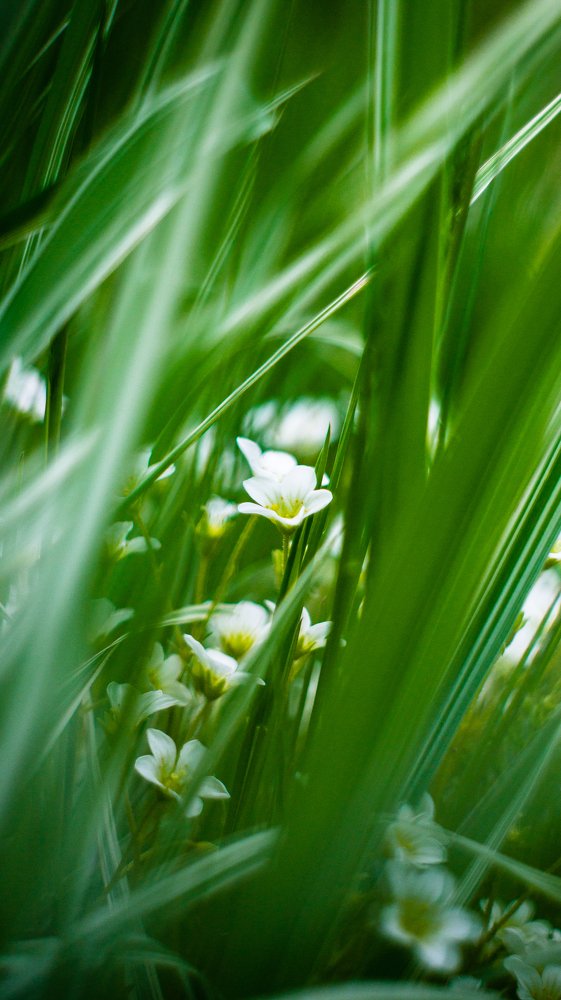 Photograph by Евгений Калагаев