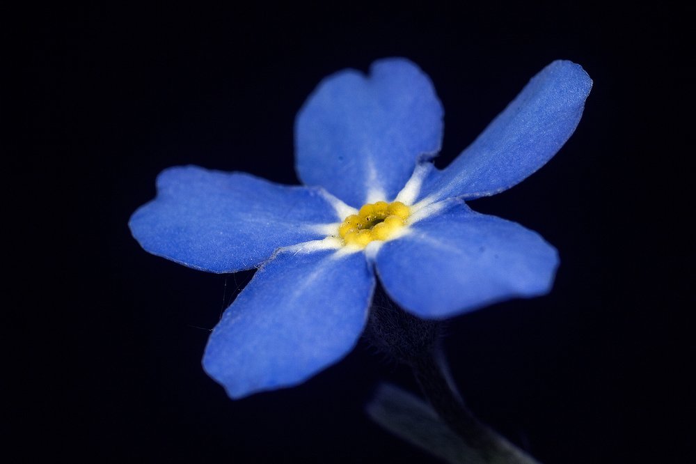 Photograph by Алексей Тимофеев