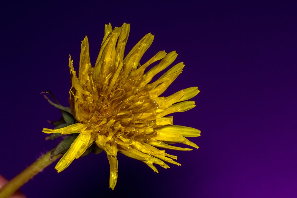 Photograph by Алексей Тимофеев