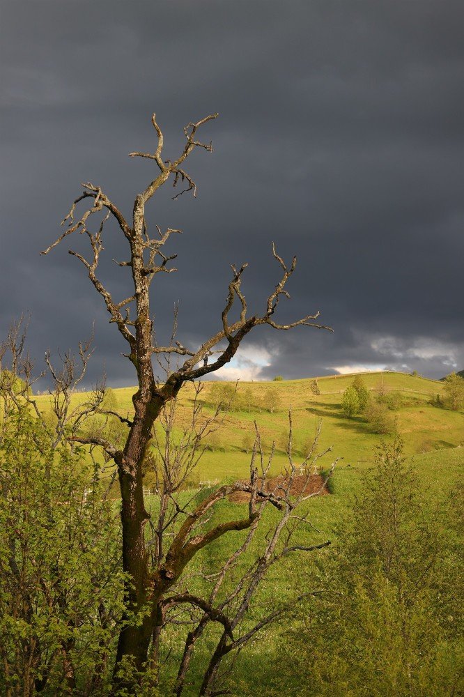 Photograph by Андрей Телибаев