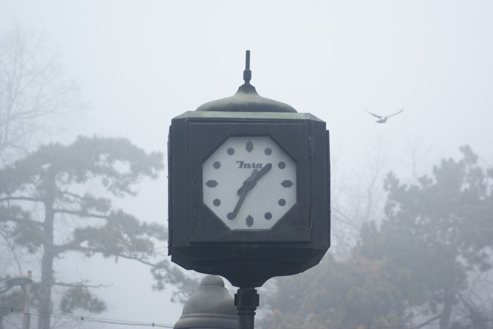 Photograph by Sreten Vitezović