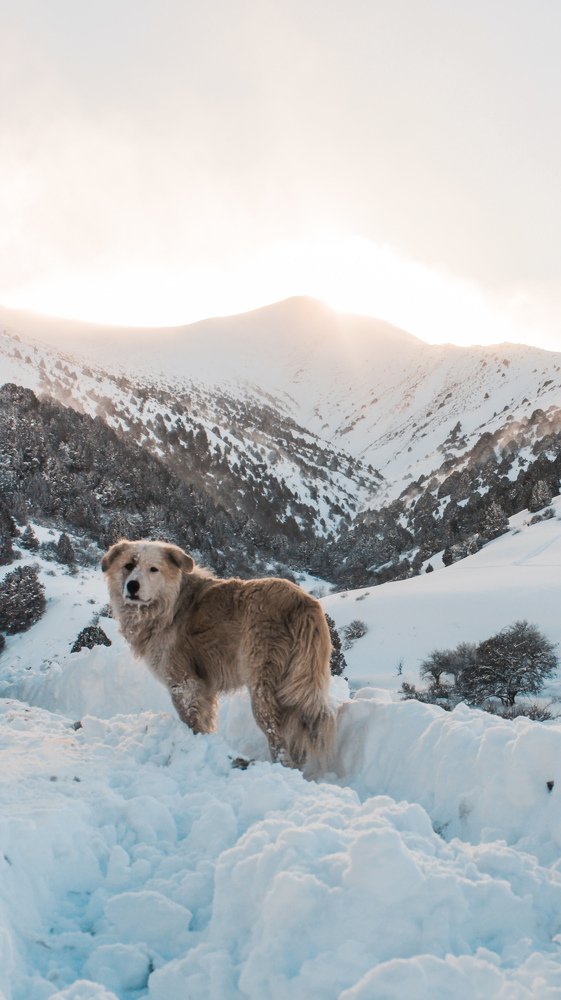 Photograph by Дмитрий Клунный