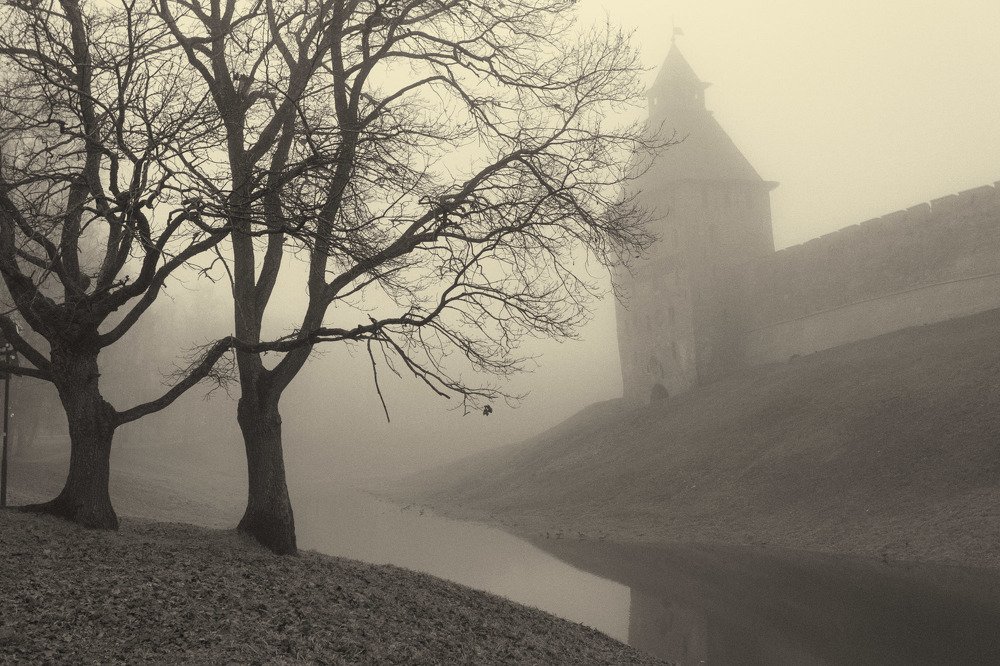 Photograph by Evgeny  Nikiforov