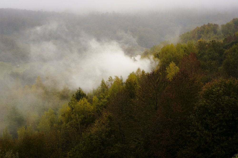 Photograph by Belmin Mesanovic