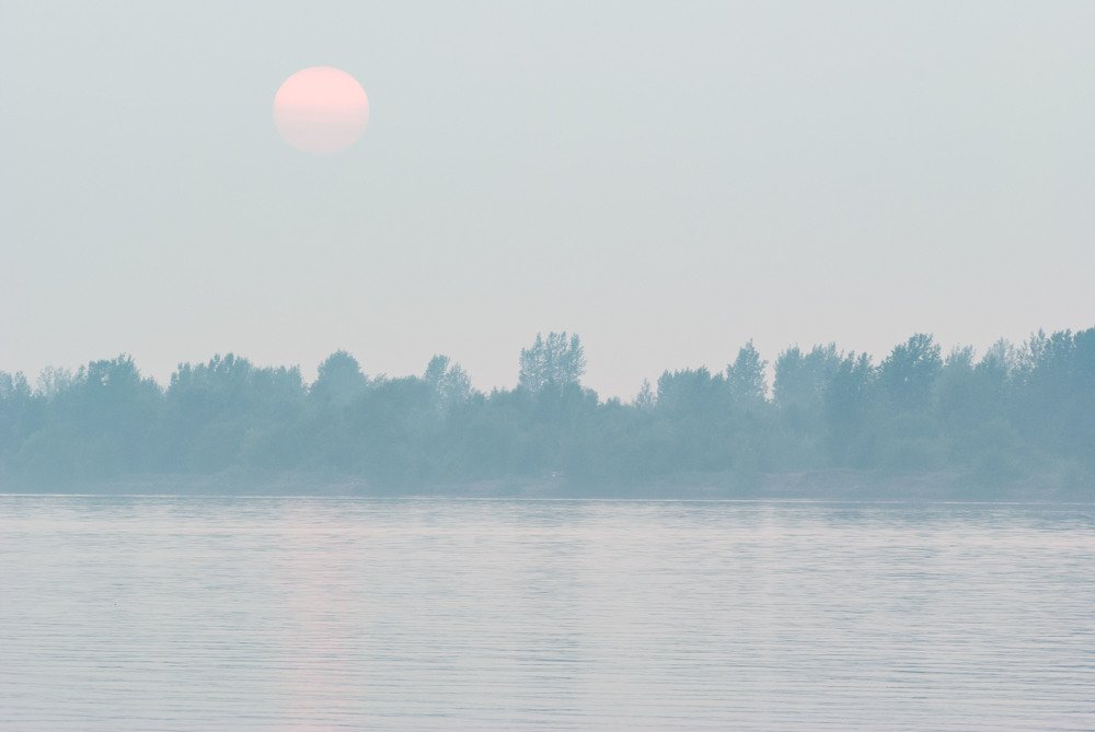 Photograph by 