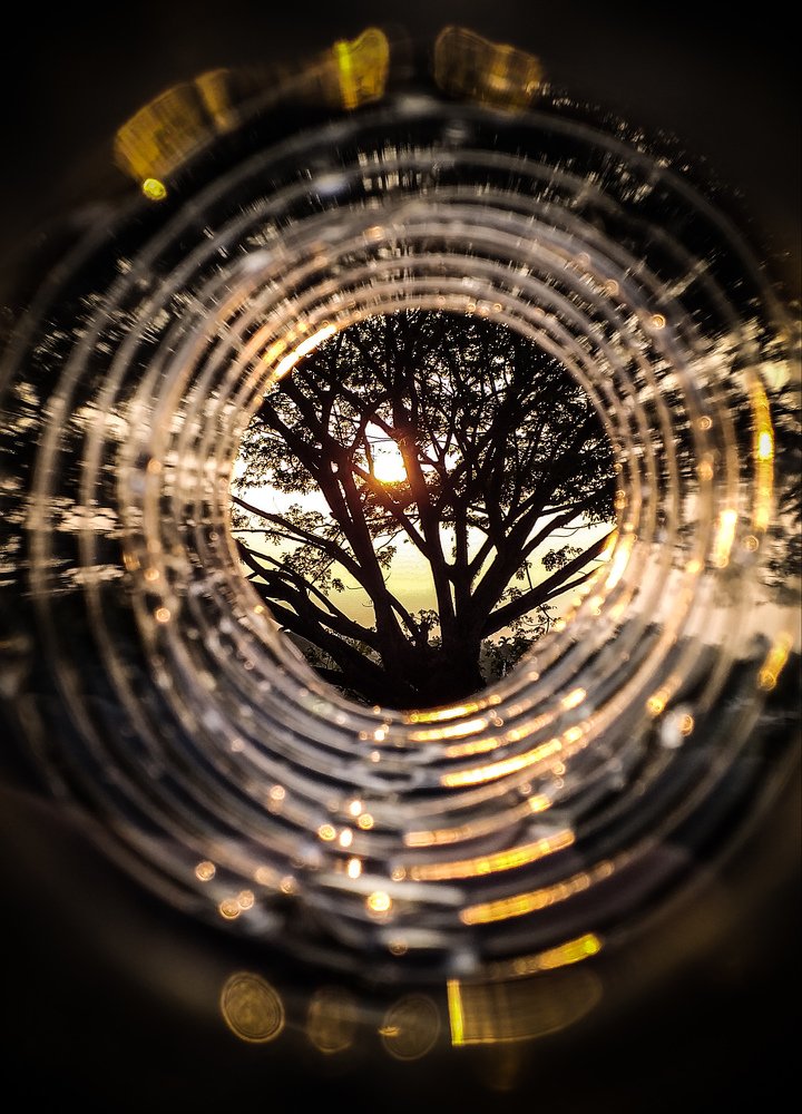 Abstract