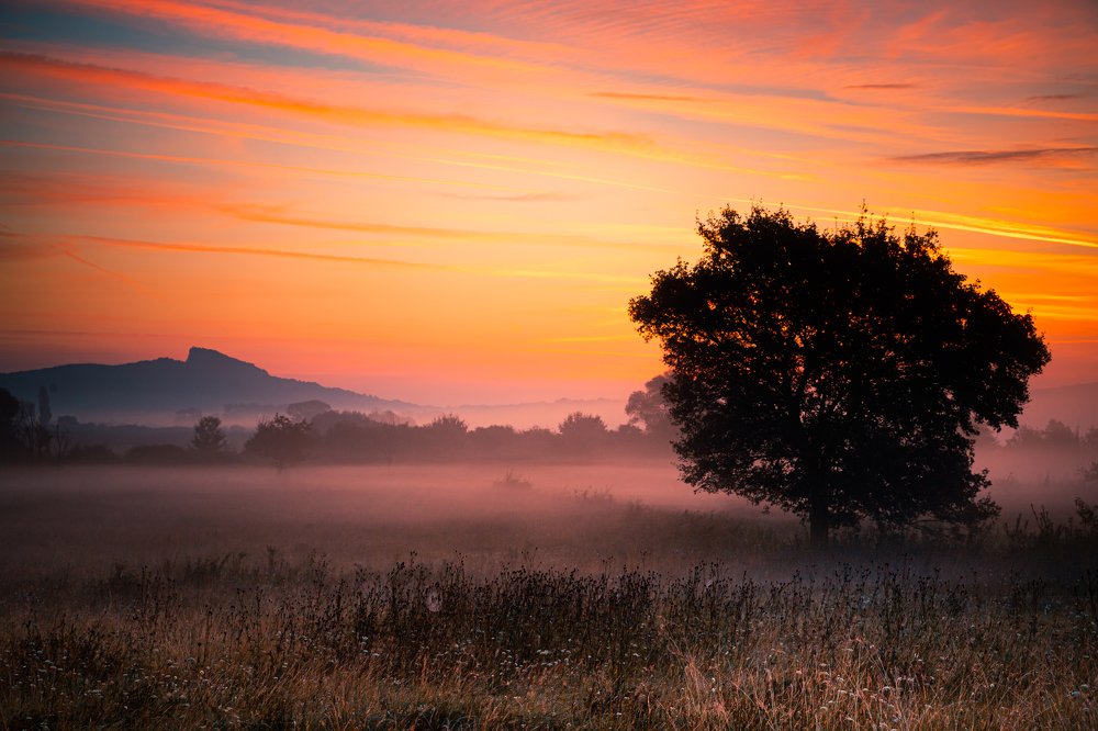 Photograph by Irén Udvarházi