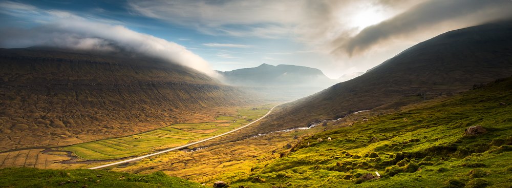 Photograph by Irén Udvarházi