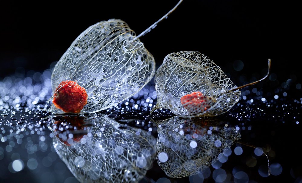 Photograph by Irén Udvarházi