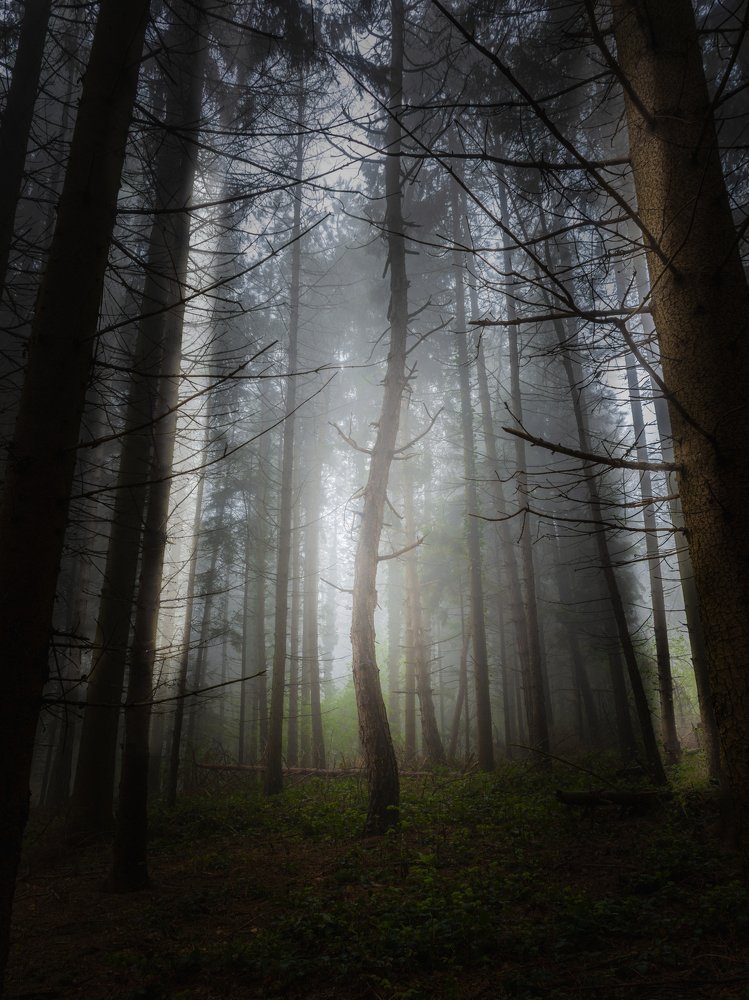 Photograph by Martin Novak