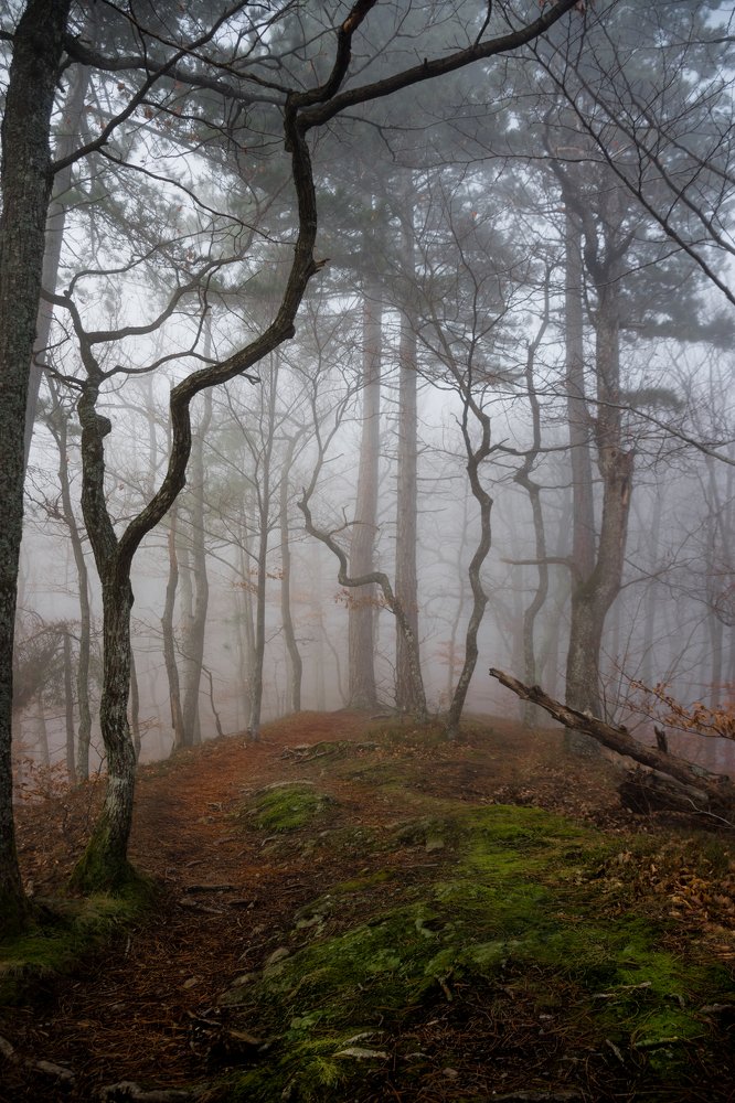 Photograph by Martin Novak