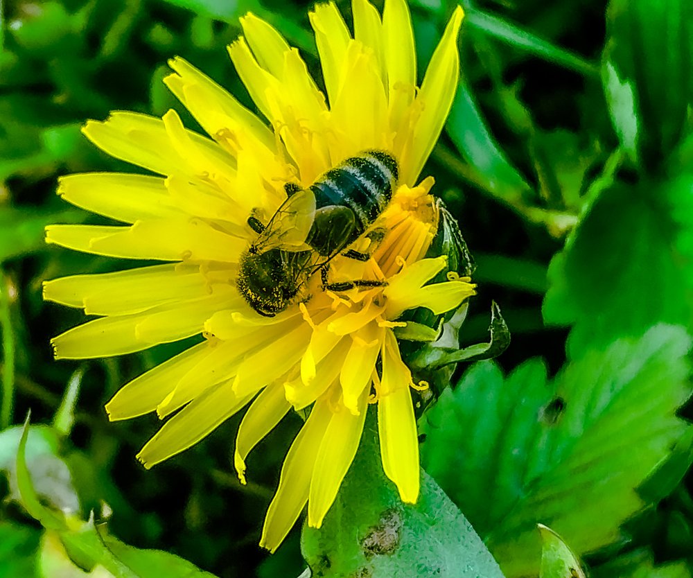Photograph by Дмитрий Малышев