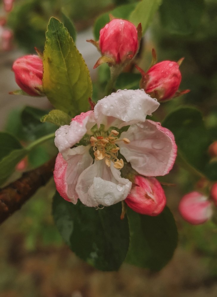 Photograph by Нина Колпакова