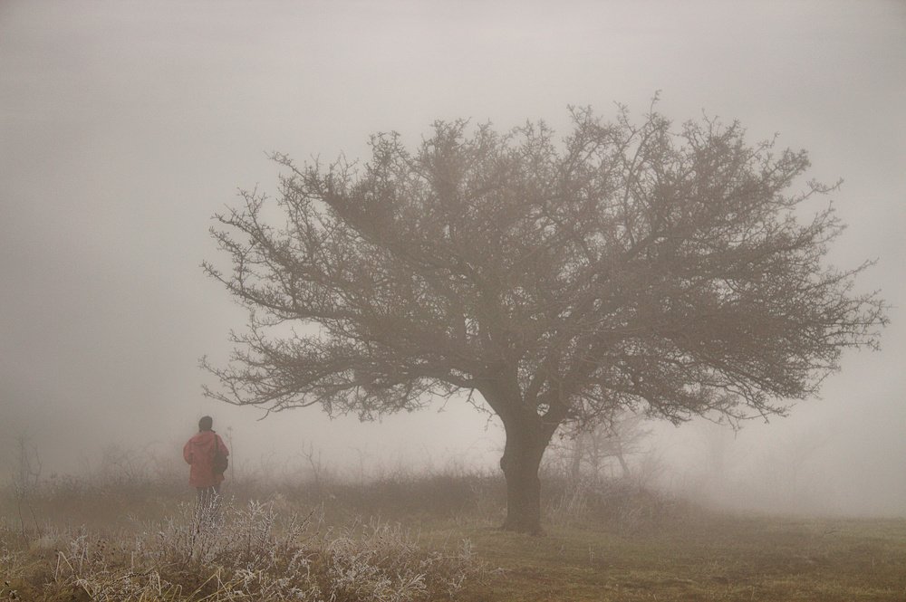 Photograph by Narcis Aurel Mursă