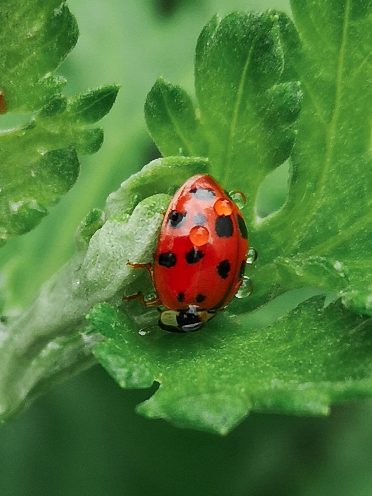 Photograph by Нина Колпакова