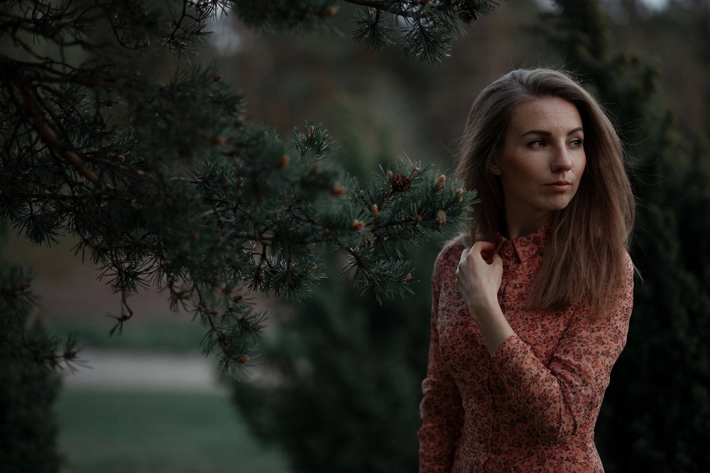 Photograph by Николай Истомин