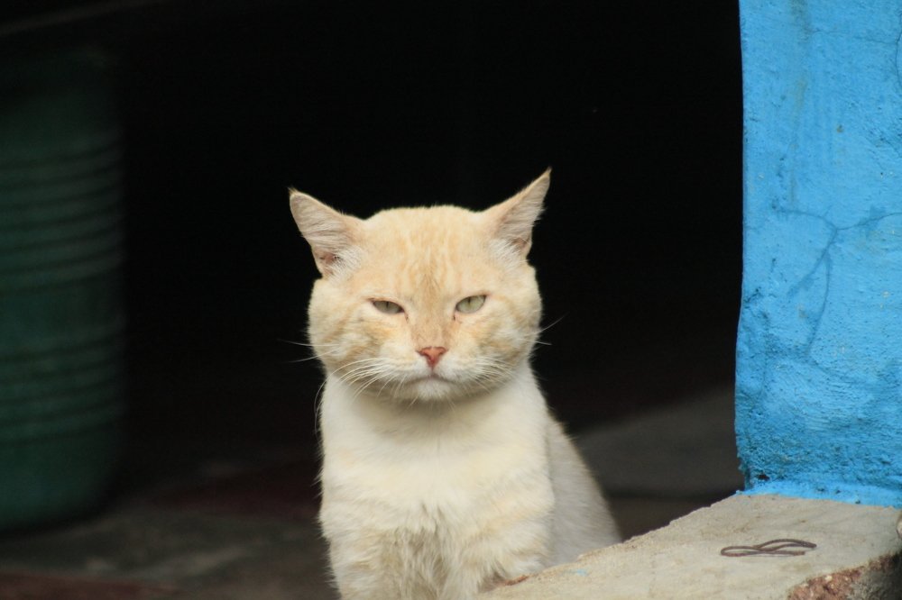 Photograph by Jesus Santamaría