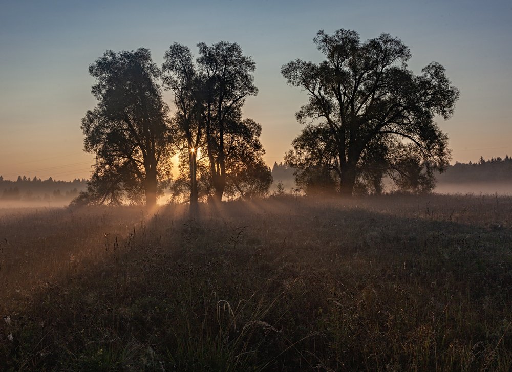 Photograph by Владимир Баулин