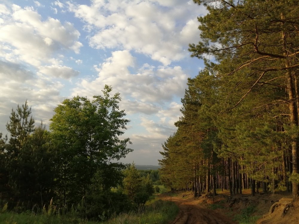 Photograph by Елизавета Щепина