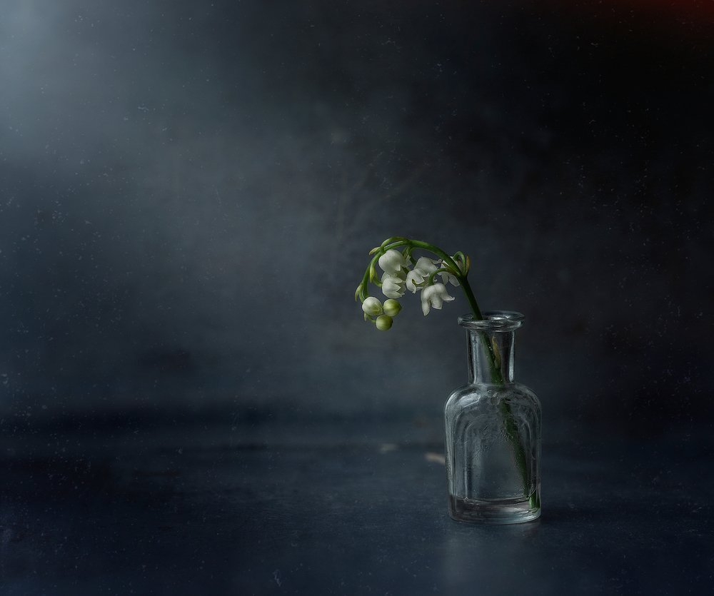 Photograph by Svoboda Andreeva