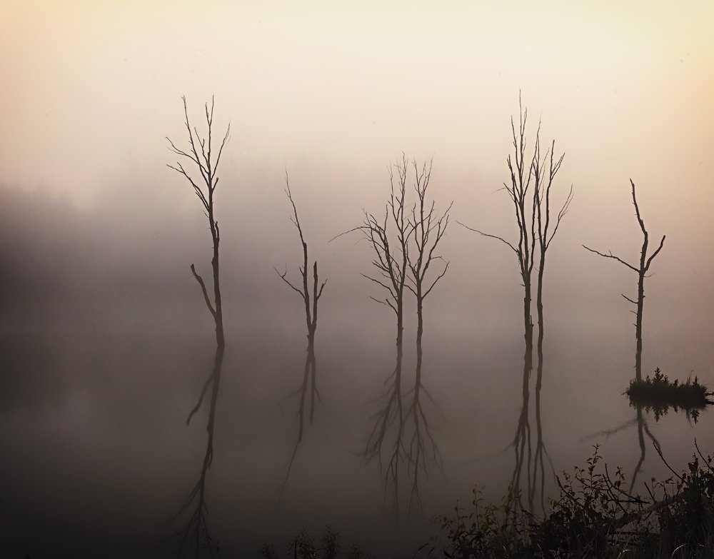 Photograph by Владимир Баулин